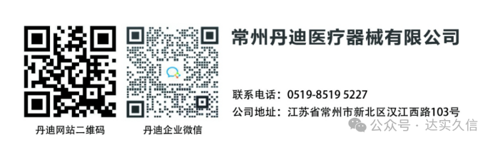 丹迪2.png